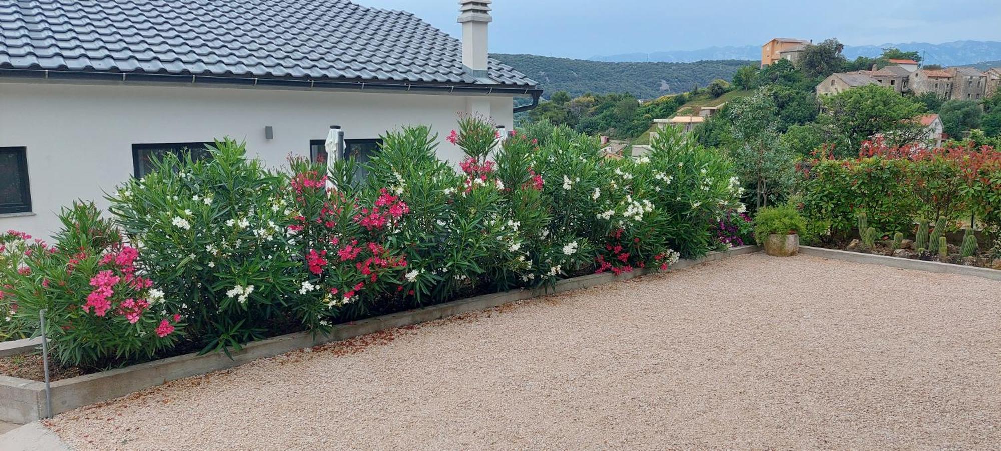 Holiday Apartments Cecilija سوبيتارسكا دراغا المظهر الخارجي الصورة